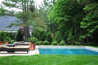 Pool areas and Water Features - 2: 