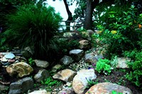 Stormwater Management Projects - 5: 